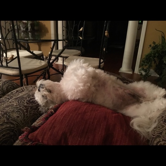 Meet your Posher, Cathy - Picture 5 of 8